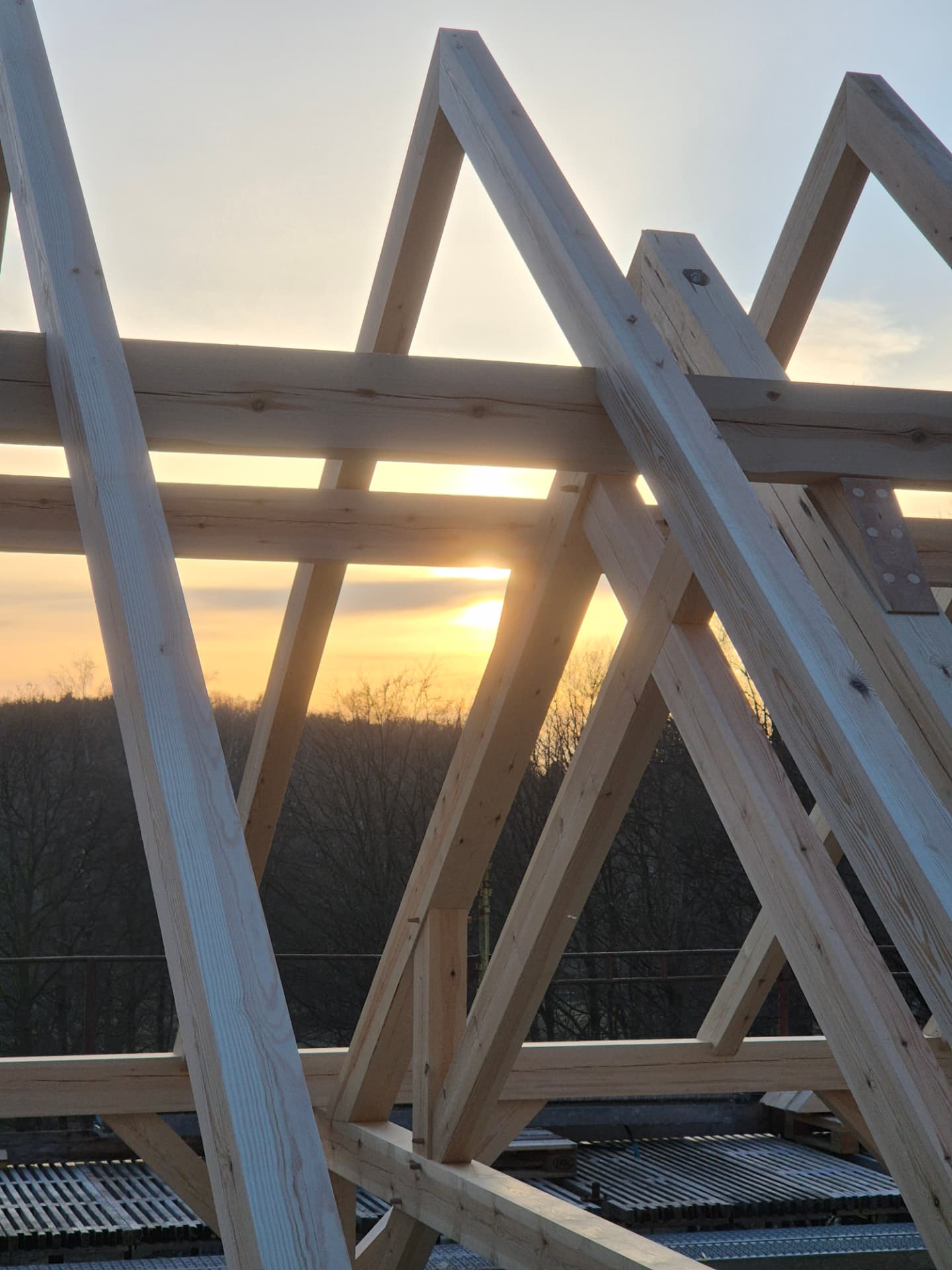 Modern Hallandslänga, Halland - bild 2